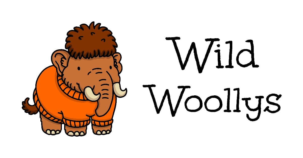 Wild Woollys hand-dyed yarn from the official website.